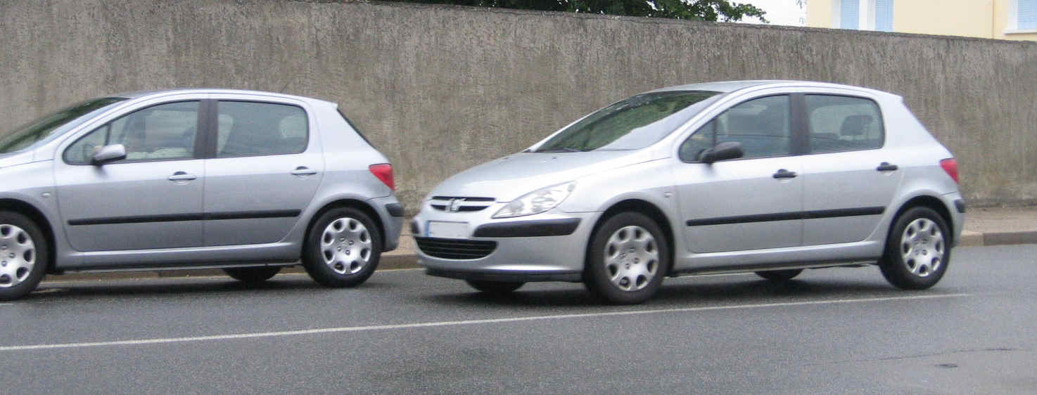 z 307 99
